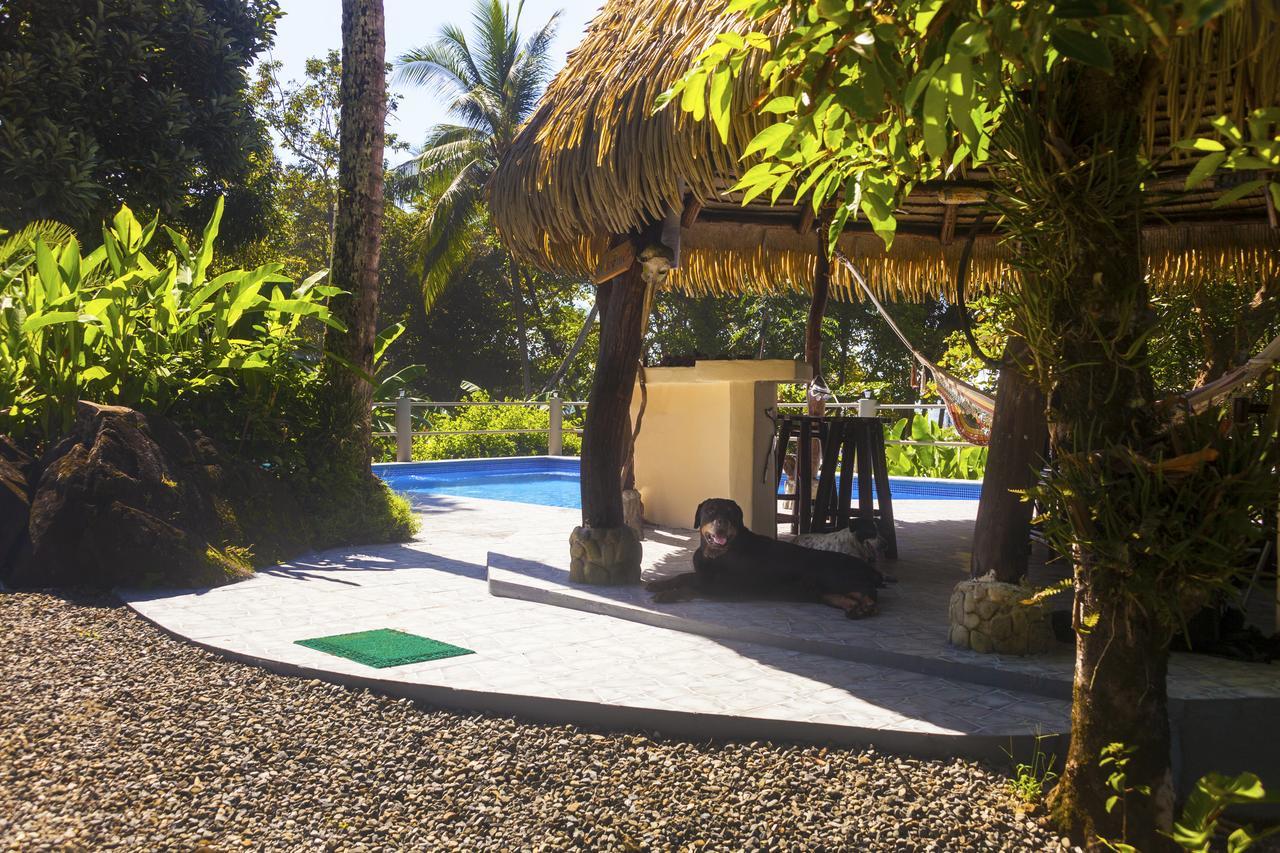 دومينيكال Coconut Grove Oceanfront Cottages المظهر الخارجي الصورة