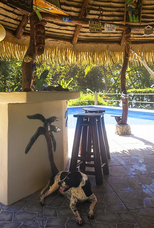 دومينيكال Coconut Grove Oceanfront Cottages المظهر الخارجي الصورة