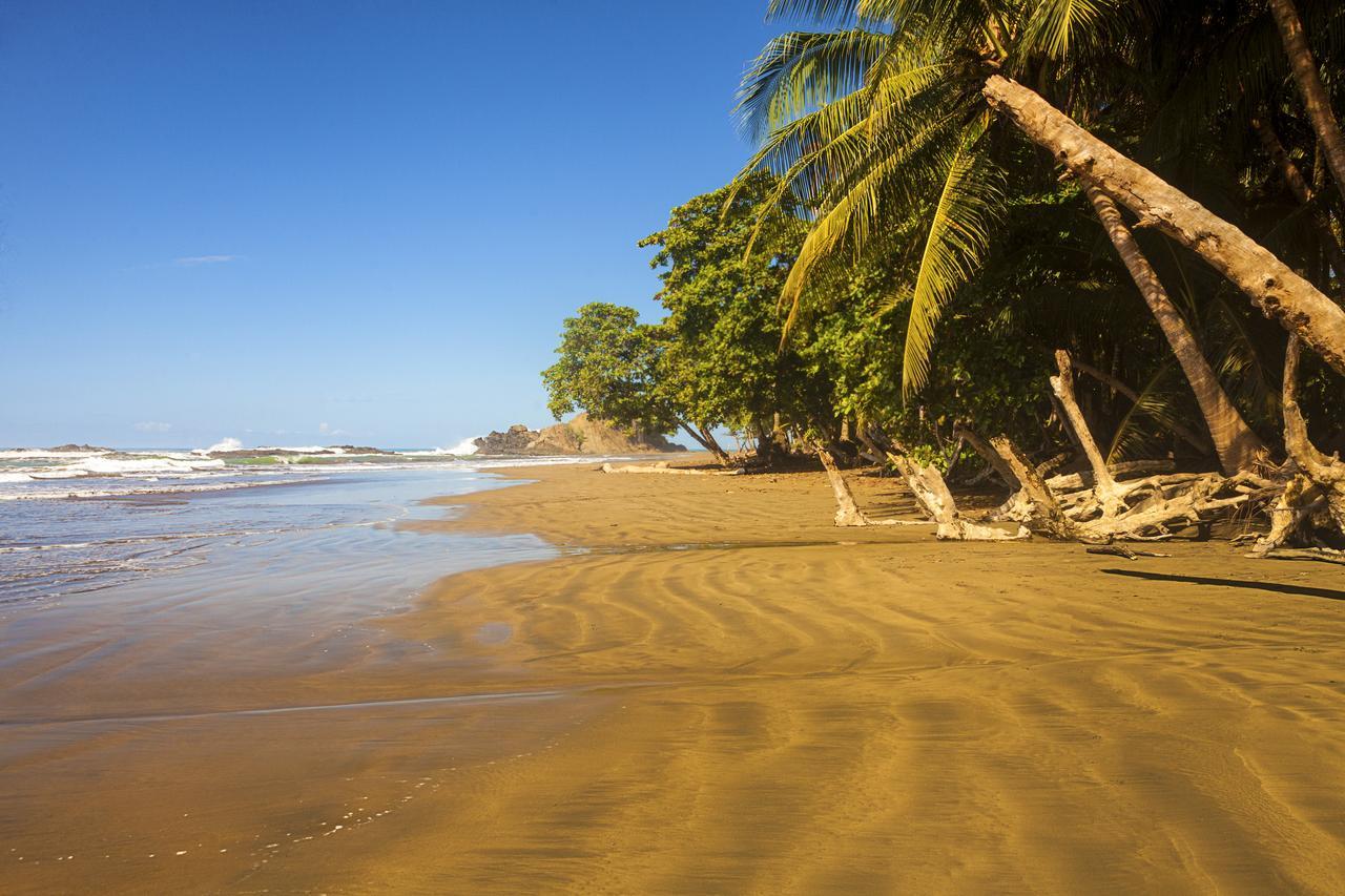 دومينيكال Coconut Grove Oceanfront Cottages المظهر الخارجي الصورة