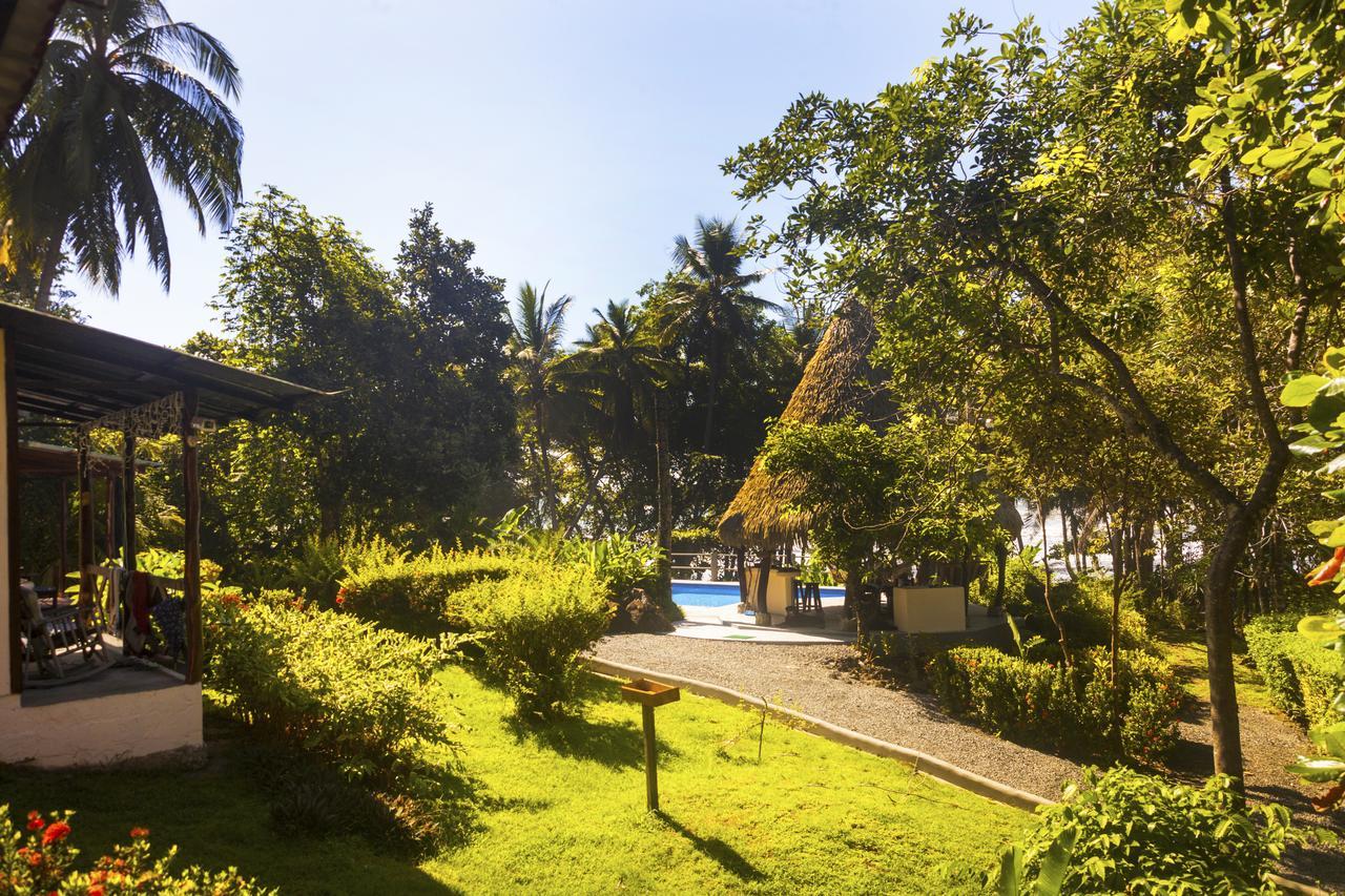 دومينيكال Coconut Grove Oceanfront Cottages المظهر الخارجي الصورة
