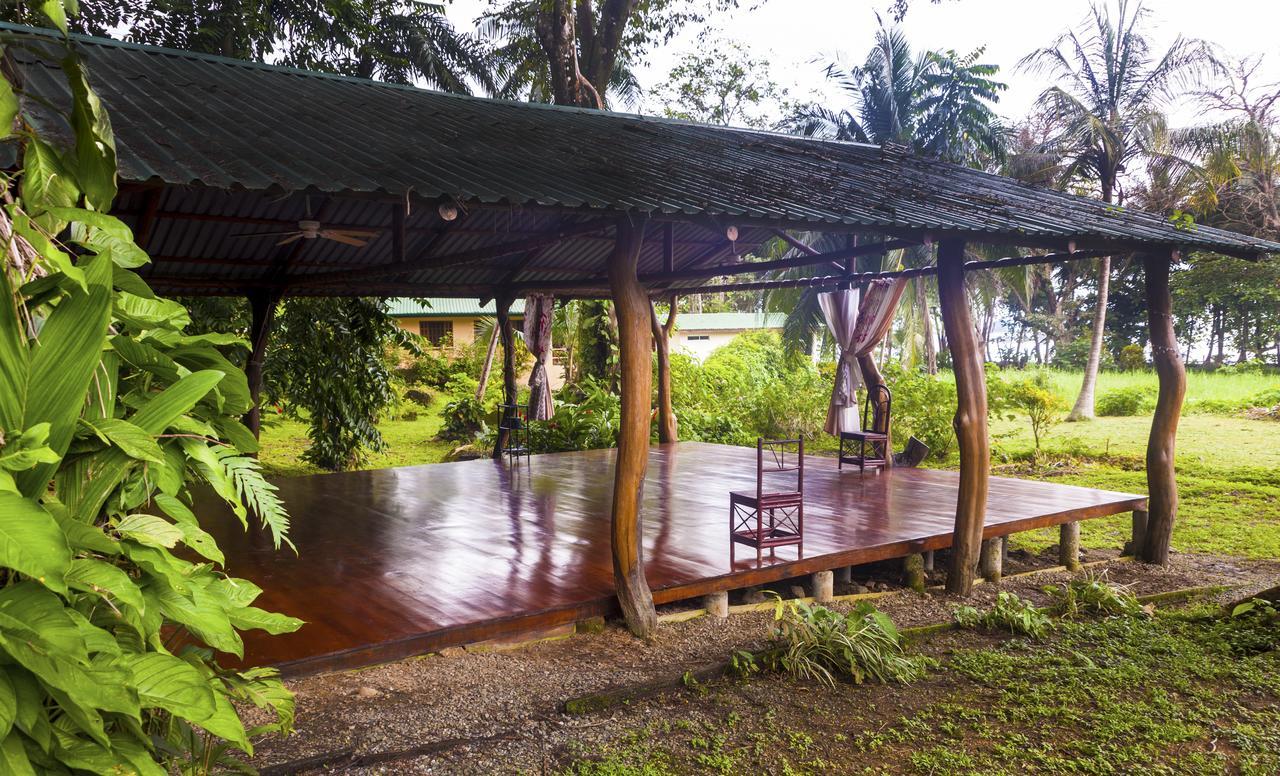 دومينيكال Coconut Grove Oceanfront Cottages المظهر الخارجي الصورة