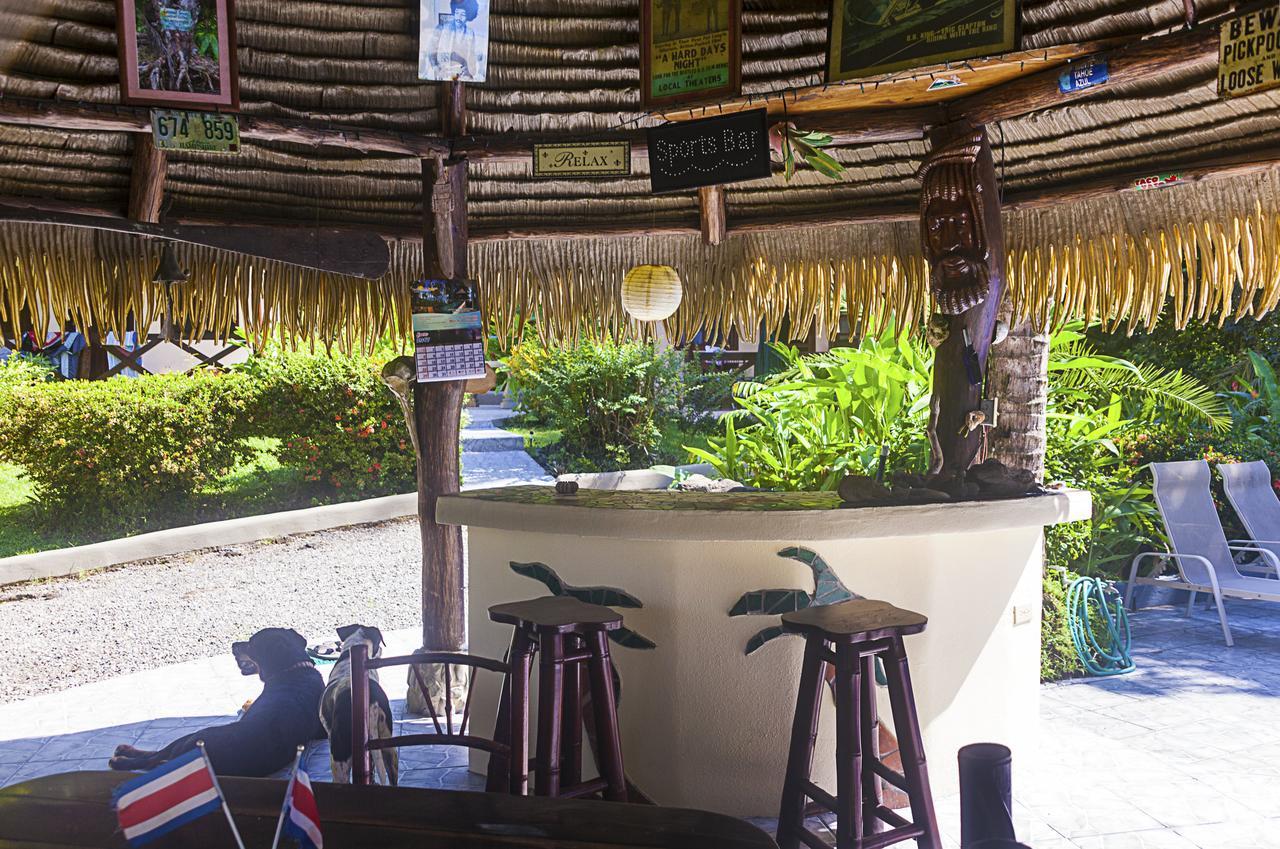 دومينيكال Coconut Grove Oceanfront Cottages المظهر الخارجي الصورة